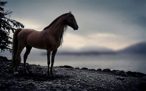 horse cumpilation|Only The Best Horse Scenes Pt. 1 Horse Cumpilation .
